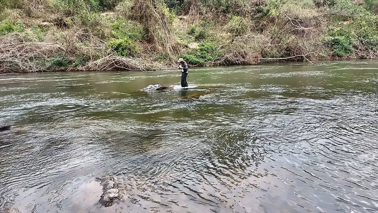 . Chácaras 2 hectares com fundo pro Rio } - Foto 2