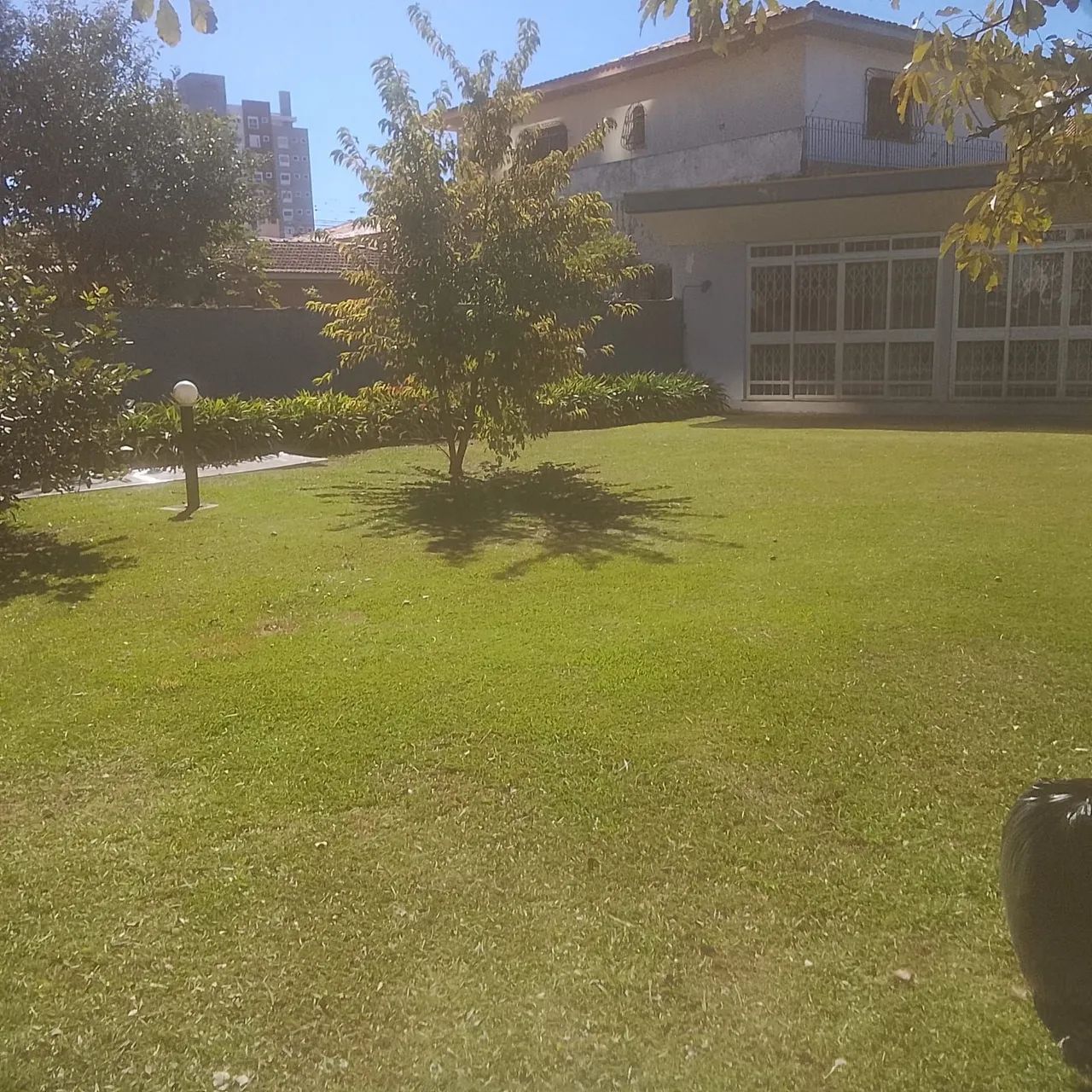 Jardineiro luft lige e. Faça seu orçamento sem compromisso   - Foto 2