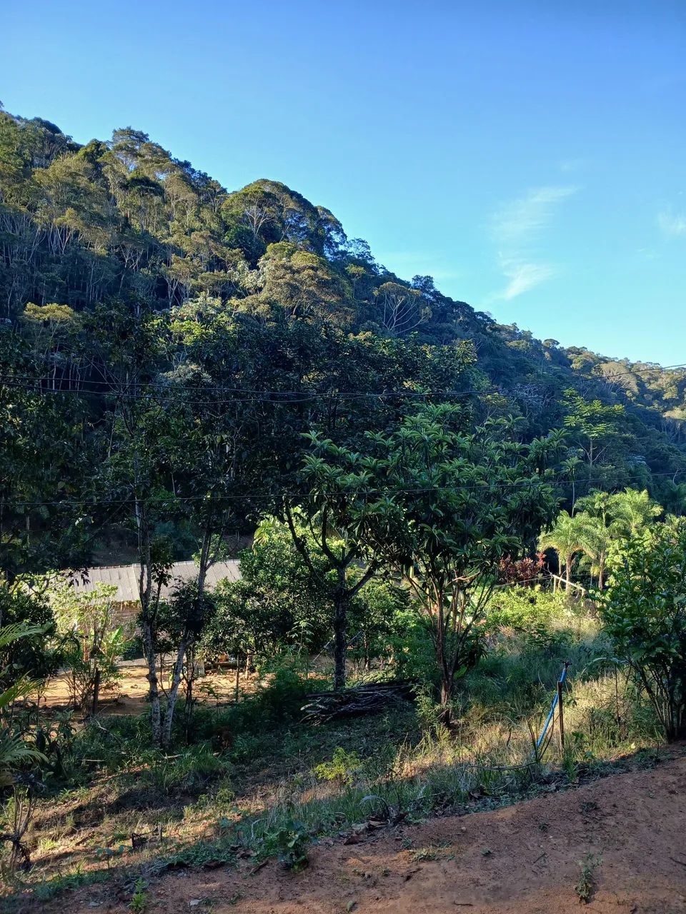 Chácara  - Foto 5