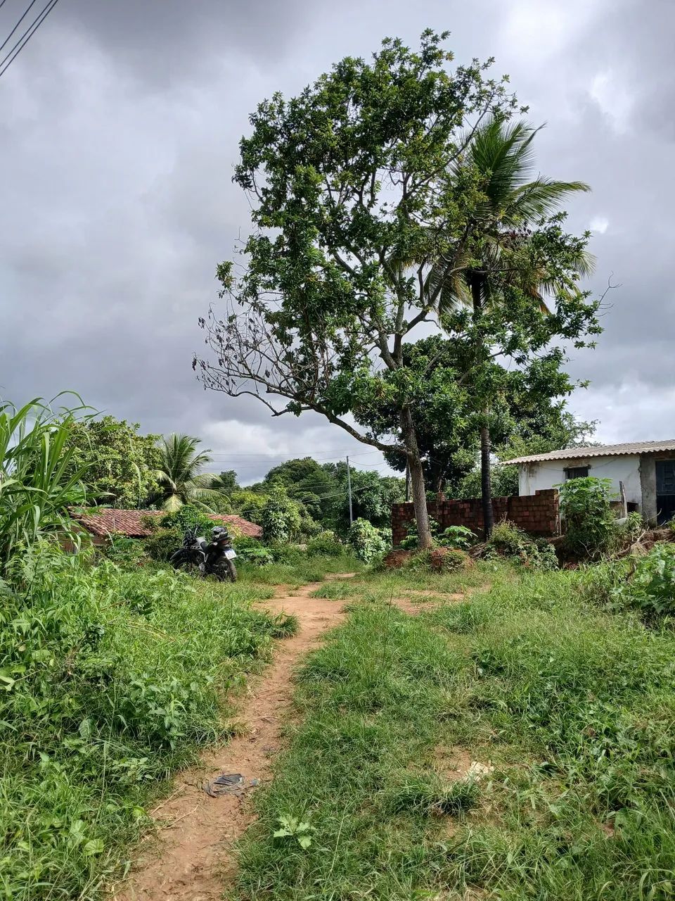 TERRENO GRANDE  - Foto 5