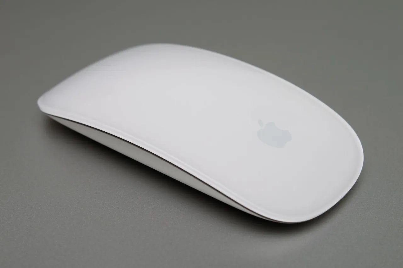 Magic mouse 2