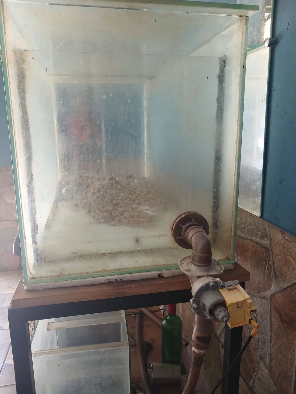 Aquário. 