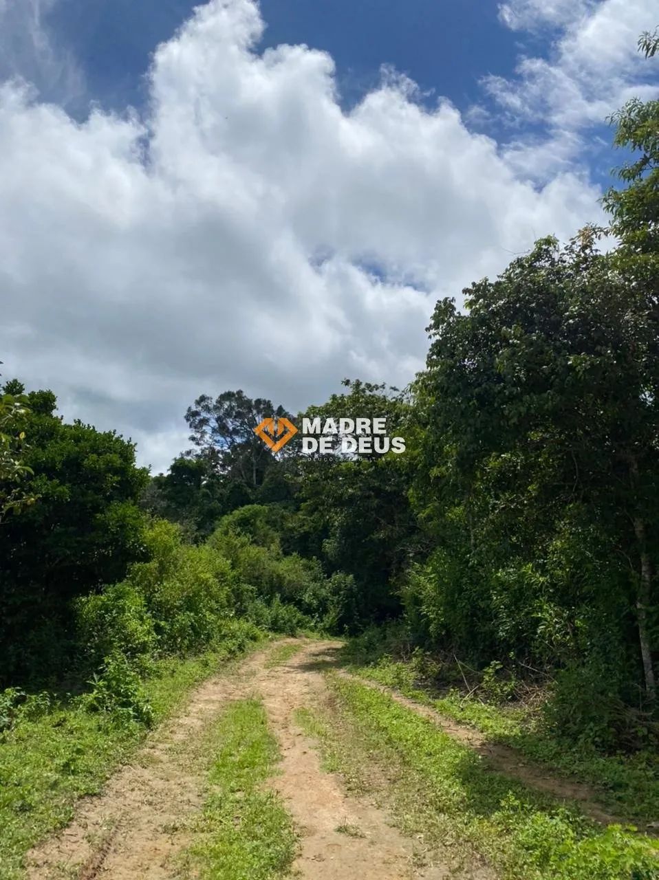 Sitio em Guaramiranga 24ha - Foto 4