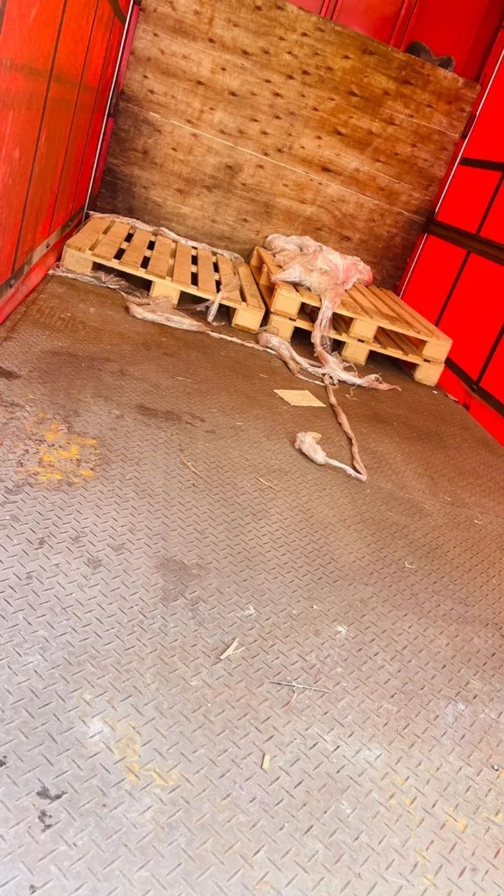 BAU LONADO - SIDER  - Foto 4