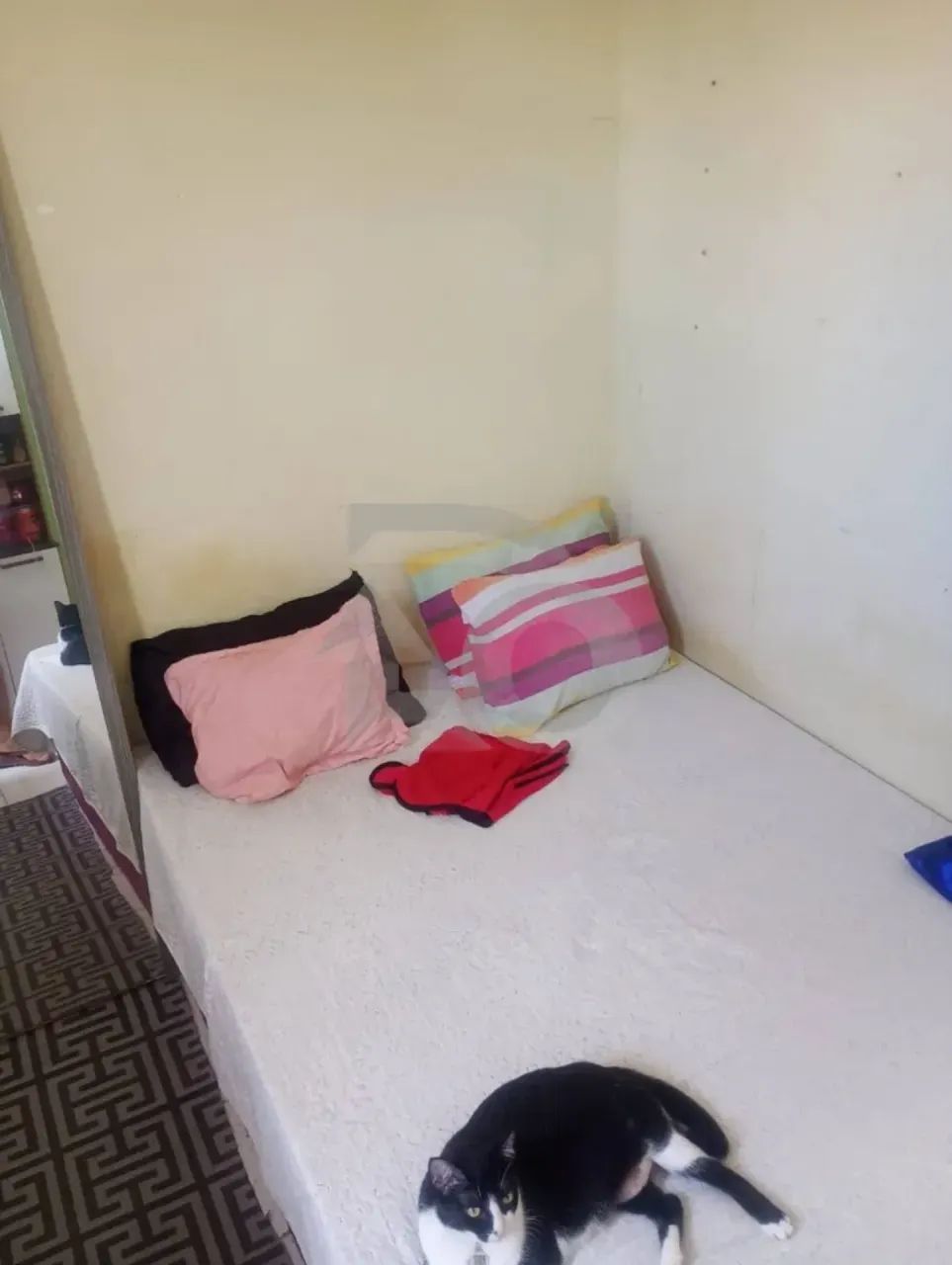 Condominio Jaime Noberto Silva - 2 Quartos e Garagem. - Foto 3