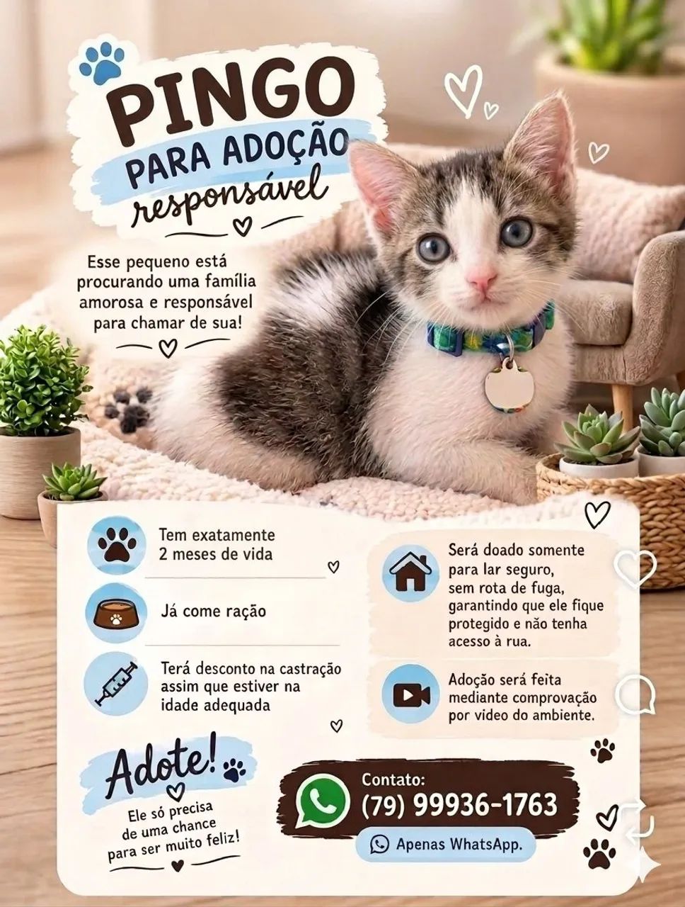  IVI e PINGO - Foto 2