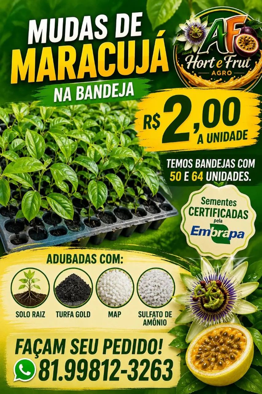 Bandeja de mudas de maracujá 