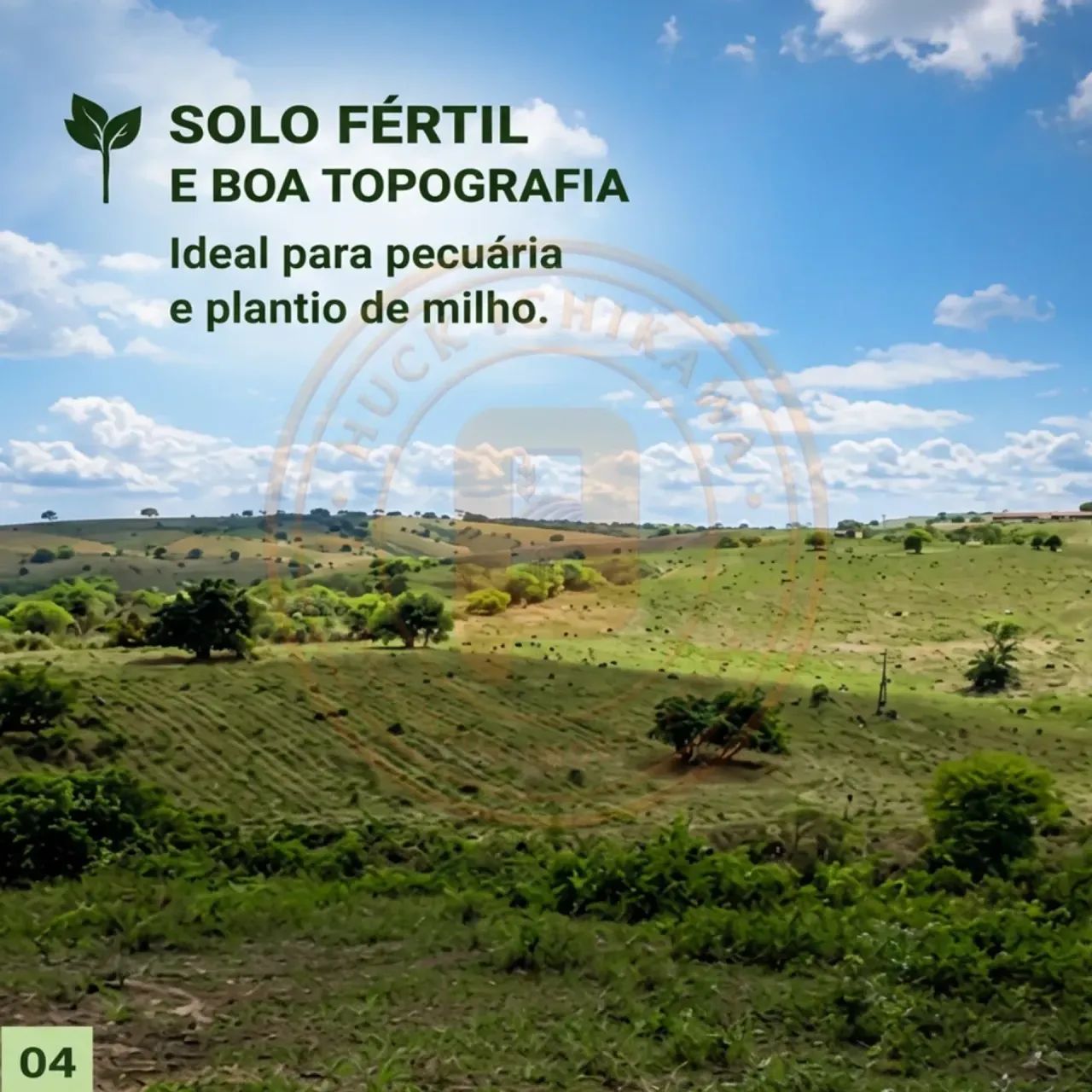 FAZENDA de 750 tarefas - ITABI - Foto 4
