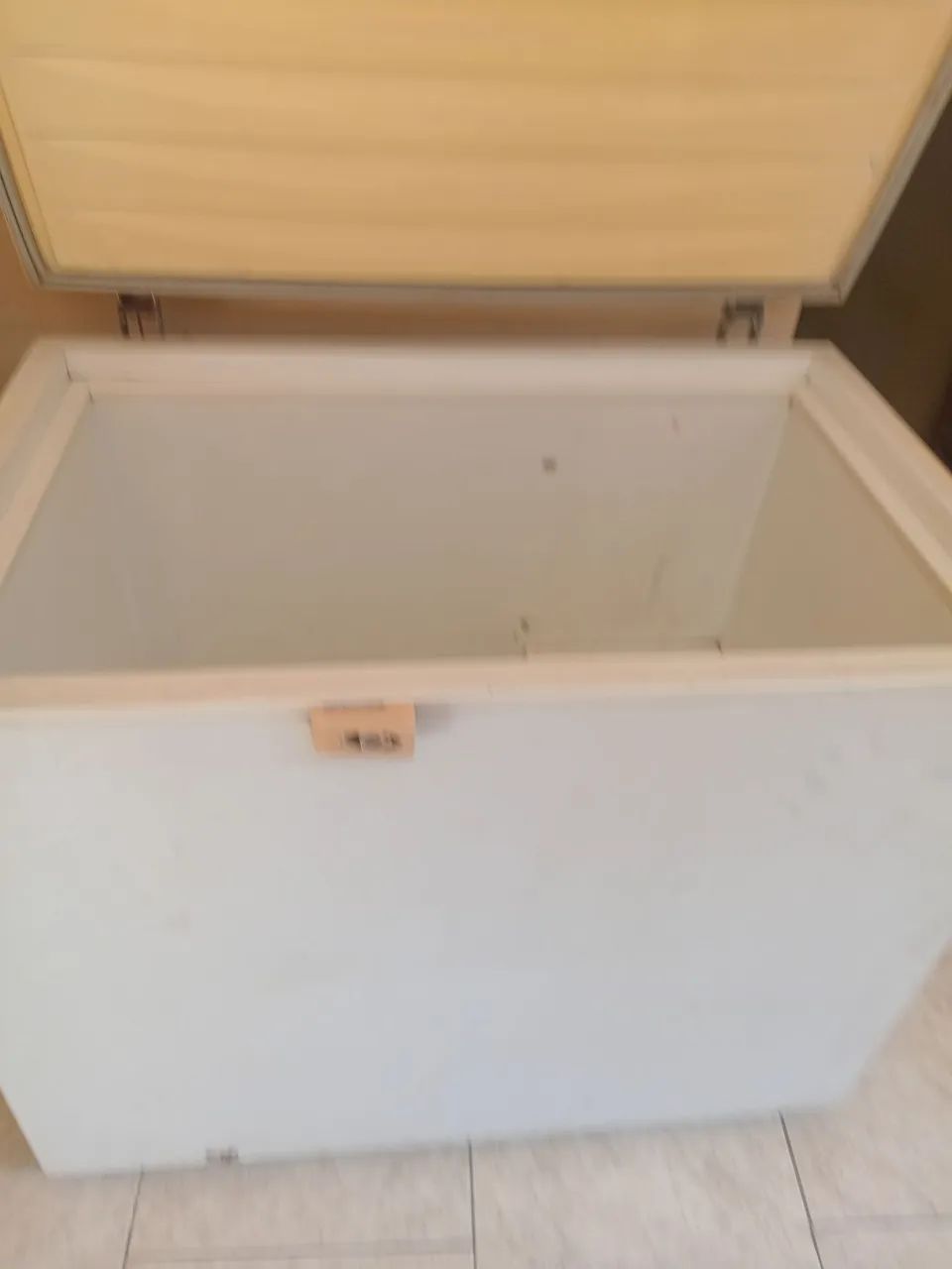 Frezer eletrolux h300 - Foto 2