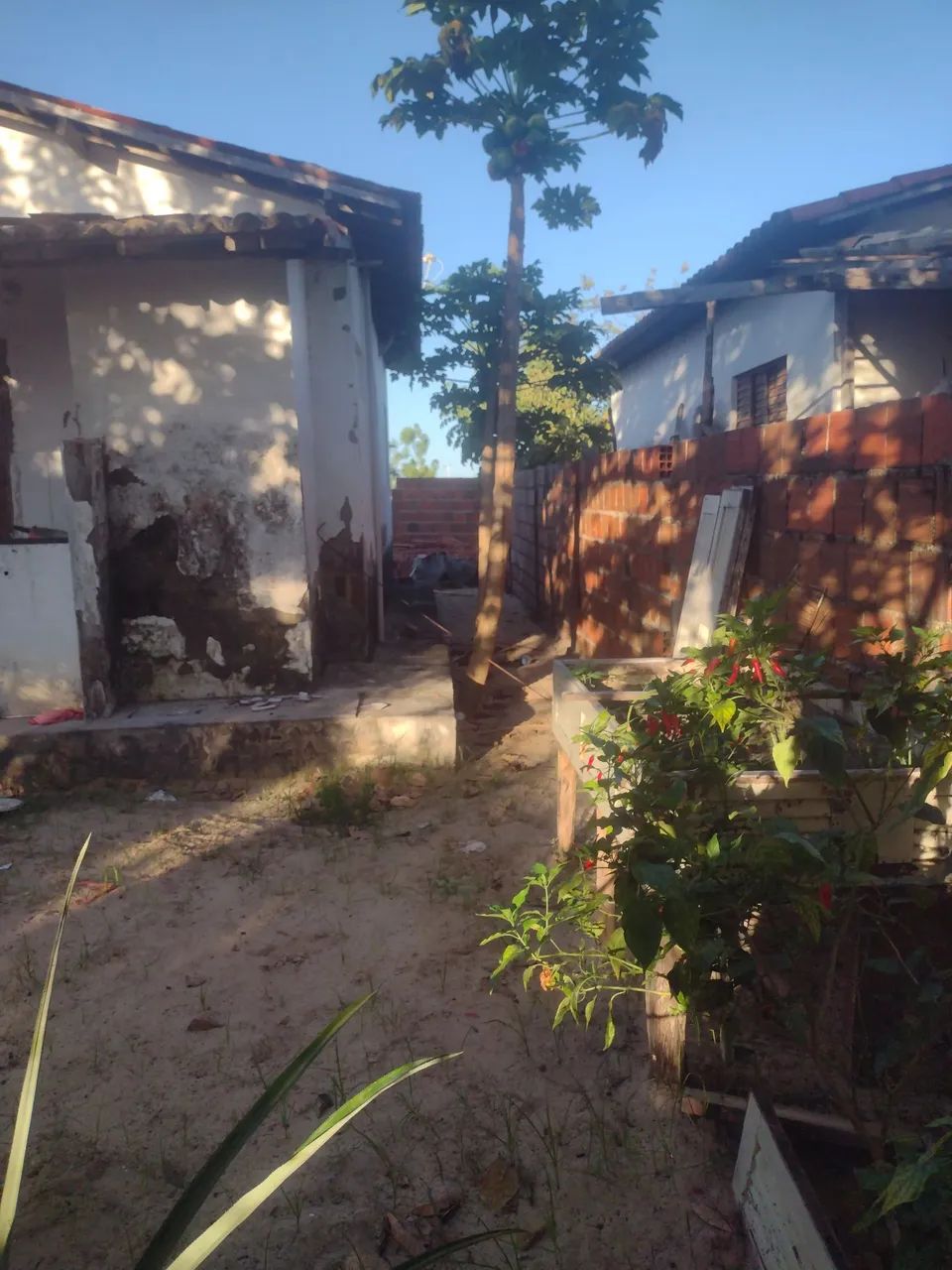 Casa em Beberibe - Foto 4
