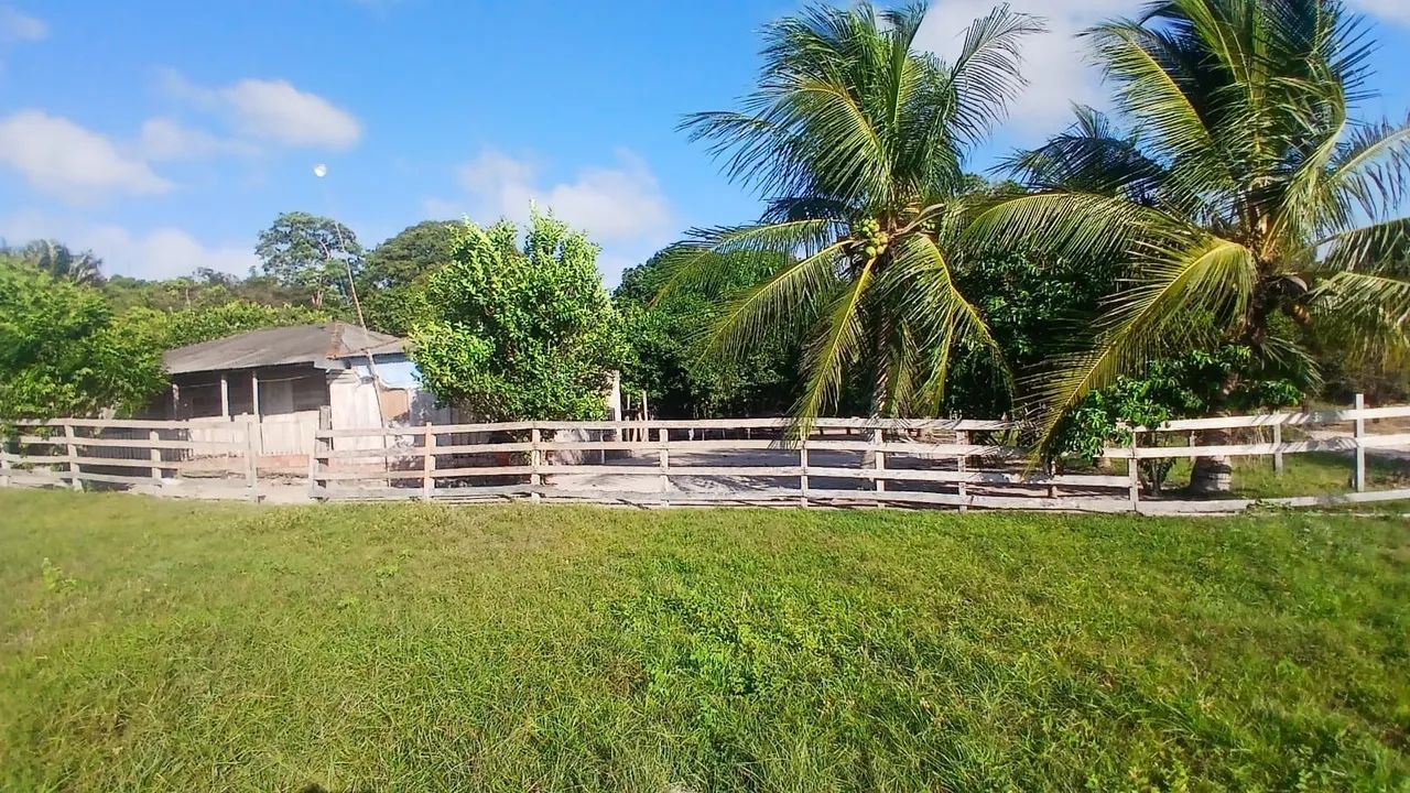SÍTIO AS MARGENS DO RIO TAPAJÓS ( ARICORÉ)
