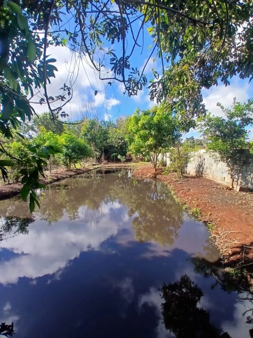 Rancho Tamanduá  - Foto 4