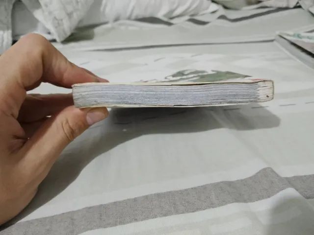 Mangá vagabond vol33 - Foto 4