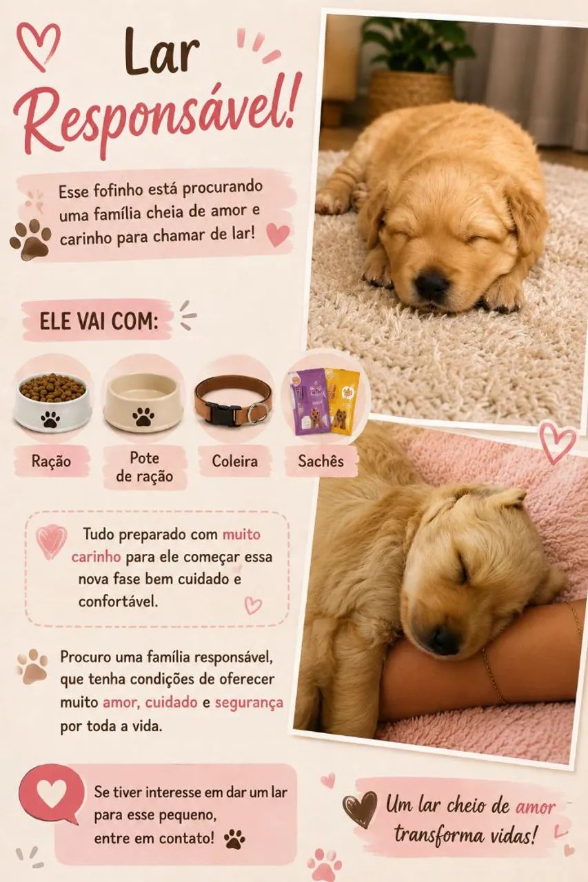 Cachorrinho!