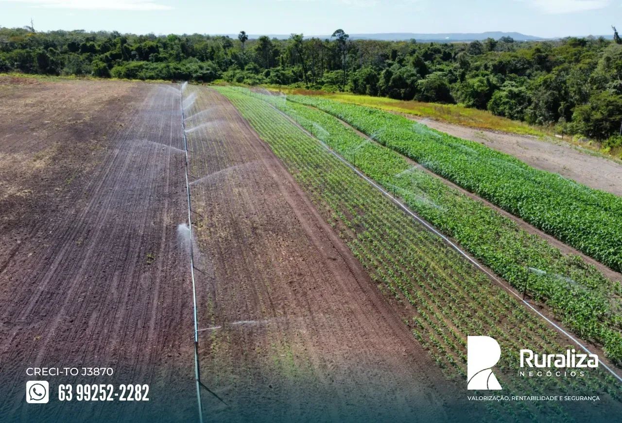45 HA AGRICULTÁVEIS | NASCENTES | R$ 2,52 MILHÕES - Foto 2