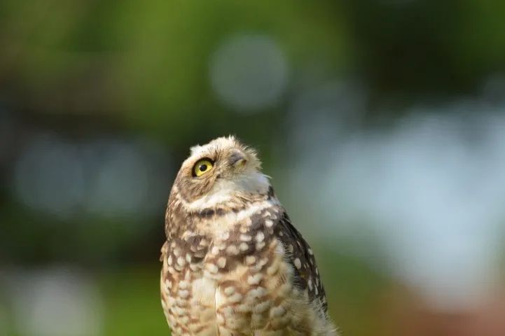 Câmera Nikon D3200 - Foto 4