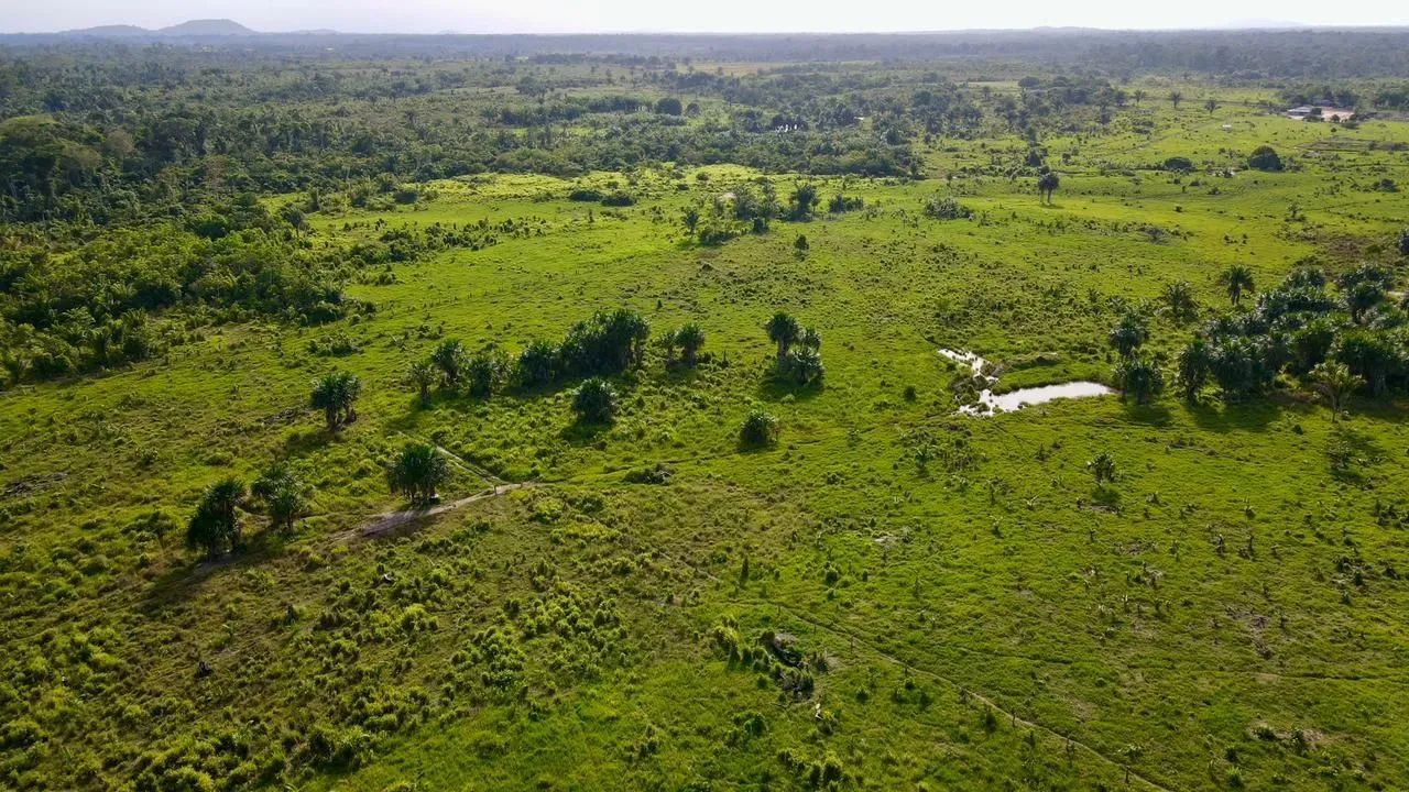 FAZENDA À VENDA ? REGIÃO DO CANTÁ - Foto 3