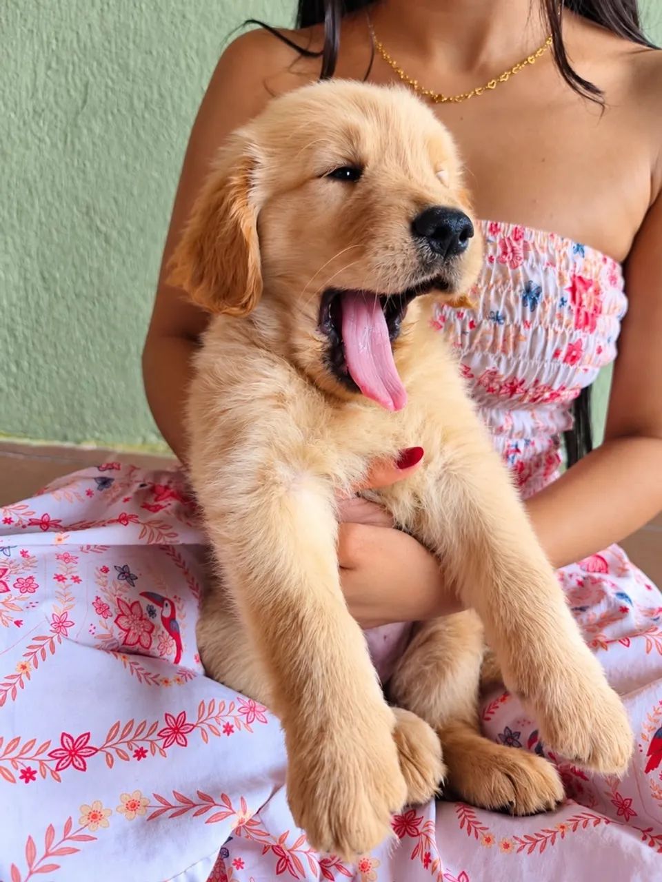Golden 
