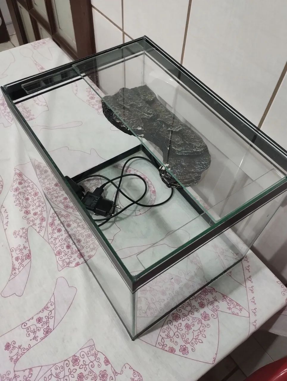 Aquaterrario - Foto 2
