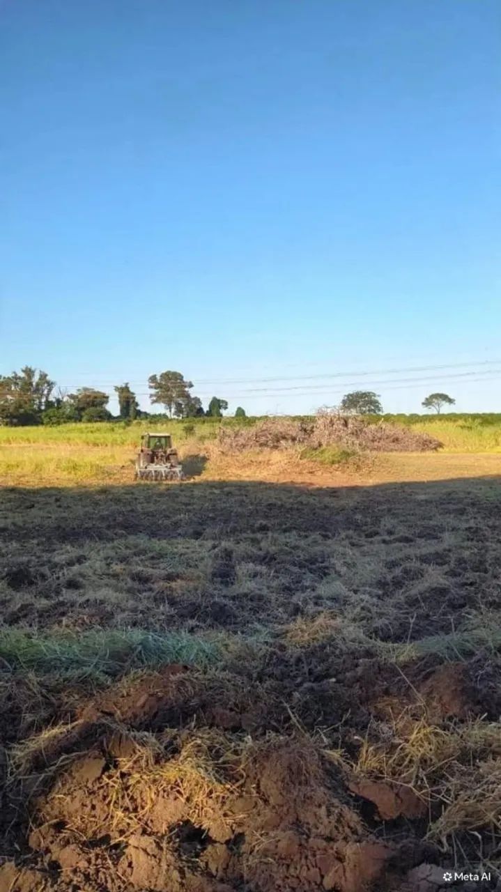 SÍTIO EM MONTE ALTO  - Foto 2