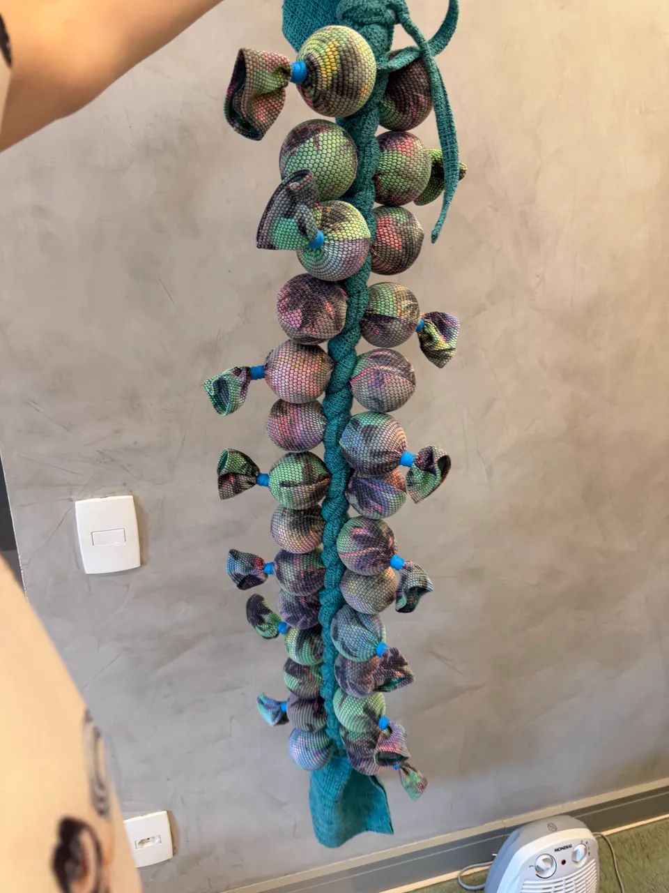 Centopeia Centipede