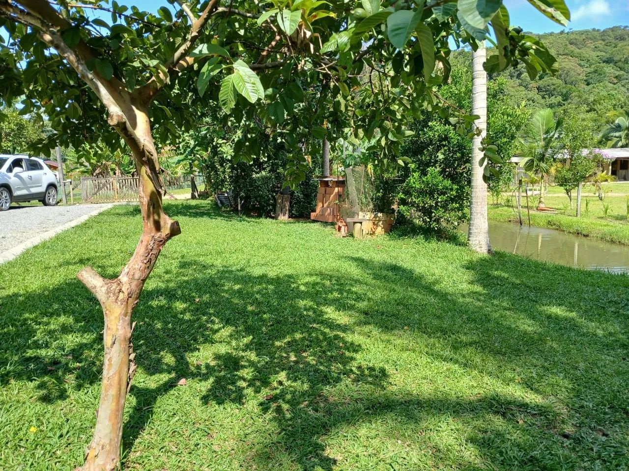 SÍTIO A VENDA EM CAMBORIÚ  - Foto 3