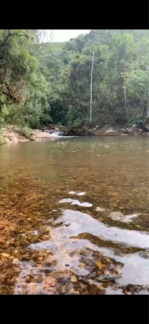 Vendo Chácara próxima a Curitiba e Campo Largo 