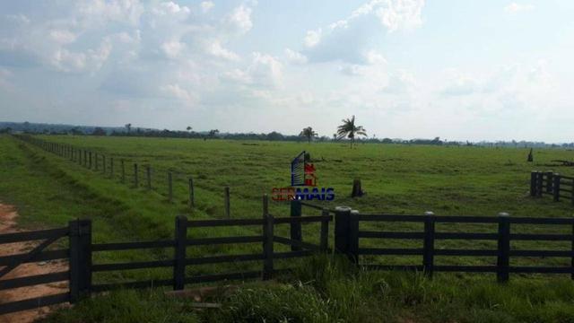 Fazenda muito bem localizada nas proximidade de Cujubim/RO - Foto 2
