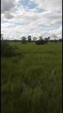 Fazenda em Santo Antônio do Leverger 9.880 hectares - Foto 17