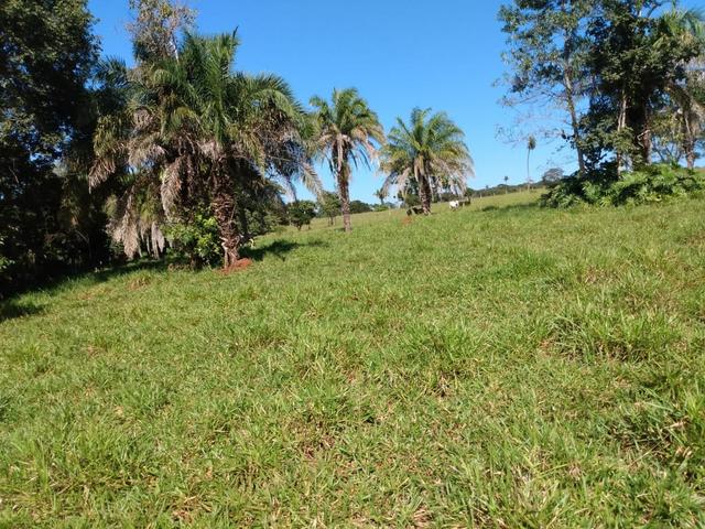Fazenda, terra boa e pronta!
