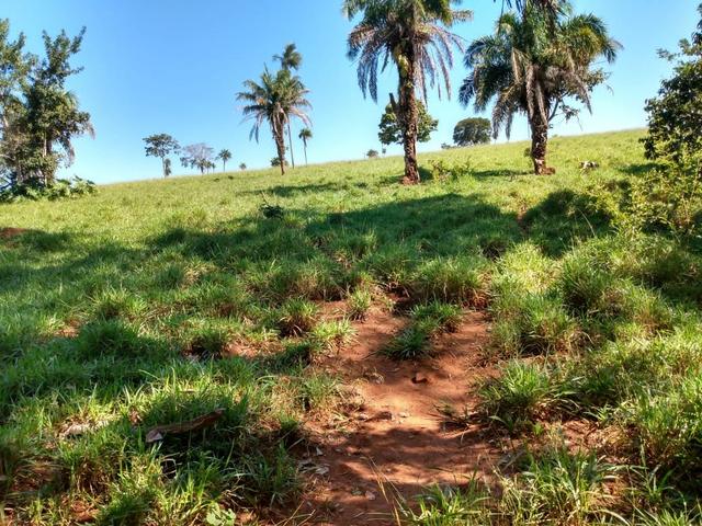 Fazenda, terra boa e pronta! - Foto 7