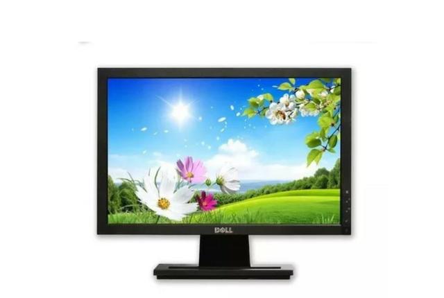 Monitor Lcd Dell E1709wc 17 Polegadas