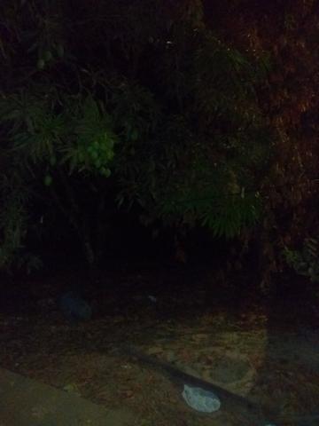 Vendo um sítio com uma casa - Foto 4