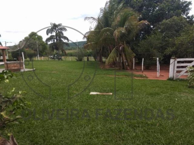 125 hectares Aquidauana MS - Foto 2