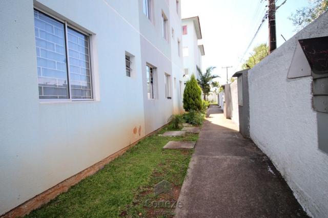 Apartamento com 2 quartos no Sitio Cercado. - Foto 16