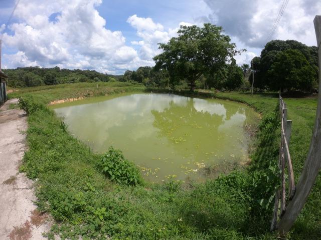 Fazenda Produtiva 1200 x 1100 com 20 tanques peixes em Rio Preto da Eva - Foto 19