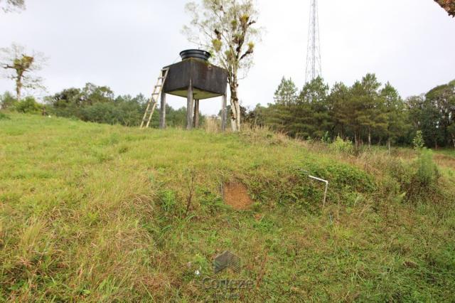 Chácara no Barro Branco em São José dos Pinhais - Foto 4
