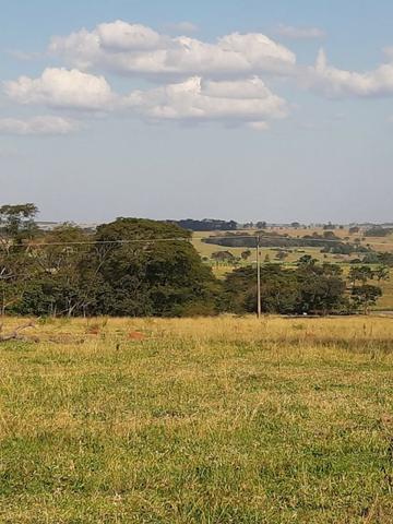Sítio de 7.8 Alqueires, Região de Nova Luzitânia - venda apenas - Foto 2