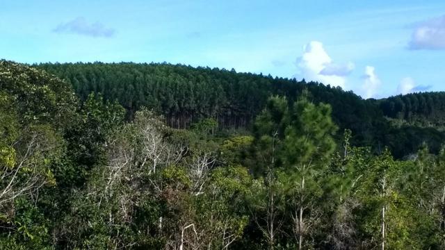 A partir de 48.500,00! Lançamento!! Lotes: Cachoeiras do Sauípe em Sauípe - Foto 7
