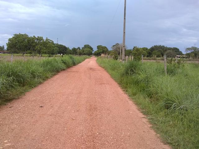 Chacara - Foto 8