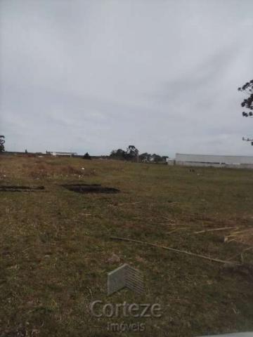 Terreno amplo no Costeira - Foto 7