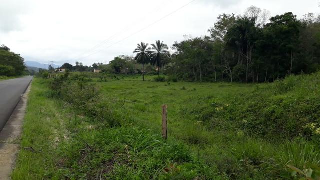Fazenda com excelente localização - Foto 16