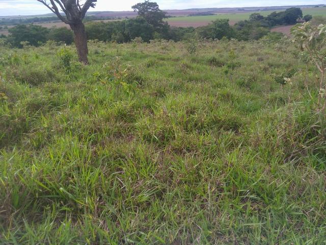 Vende-se uma chácara na região do PADF 18 HECTARES