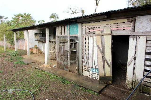 Chácara no Barro Branco em São José dos Pinhais - Foto 13