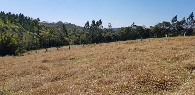 Vendo meus 2lotes de 1000m² urgente - Foto 4