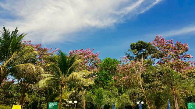 Thermas Paradaise - Réveillon 2020 - Venha com sua Família!!! - Foto 13