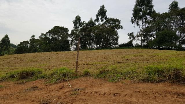 Vendo meus 2lotes de 1000m² urgente - Foto 5