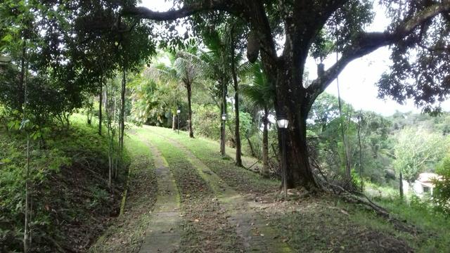 Alugo sitio em agro brasil - Foto 6