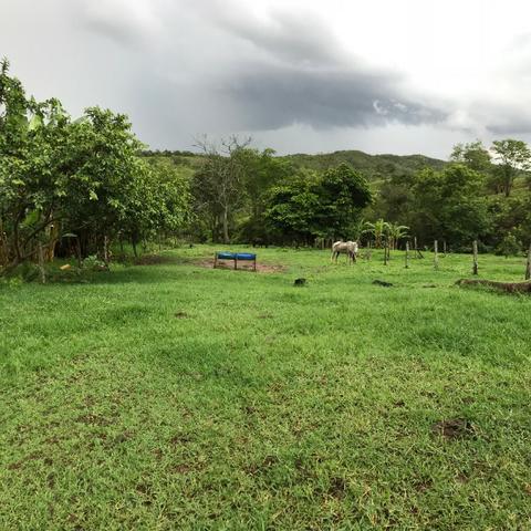 100% cultura. Fazenda 44 Alqueires ( 213 ha ) Cromínia-GO - Foto 17