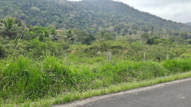Fazenda com excelente localização - Foto 9